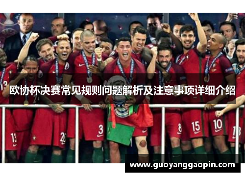 欧协杯决赛常见规则问题解析及注意事项详细介绍